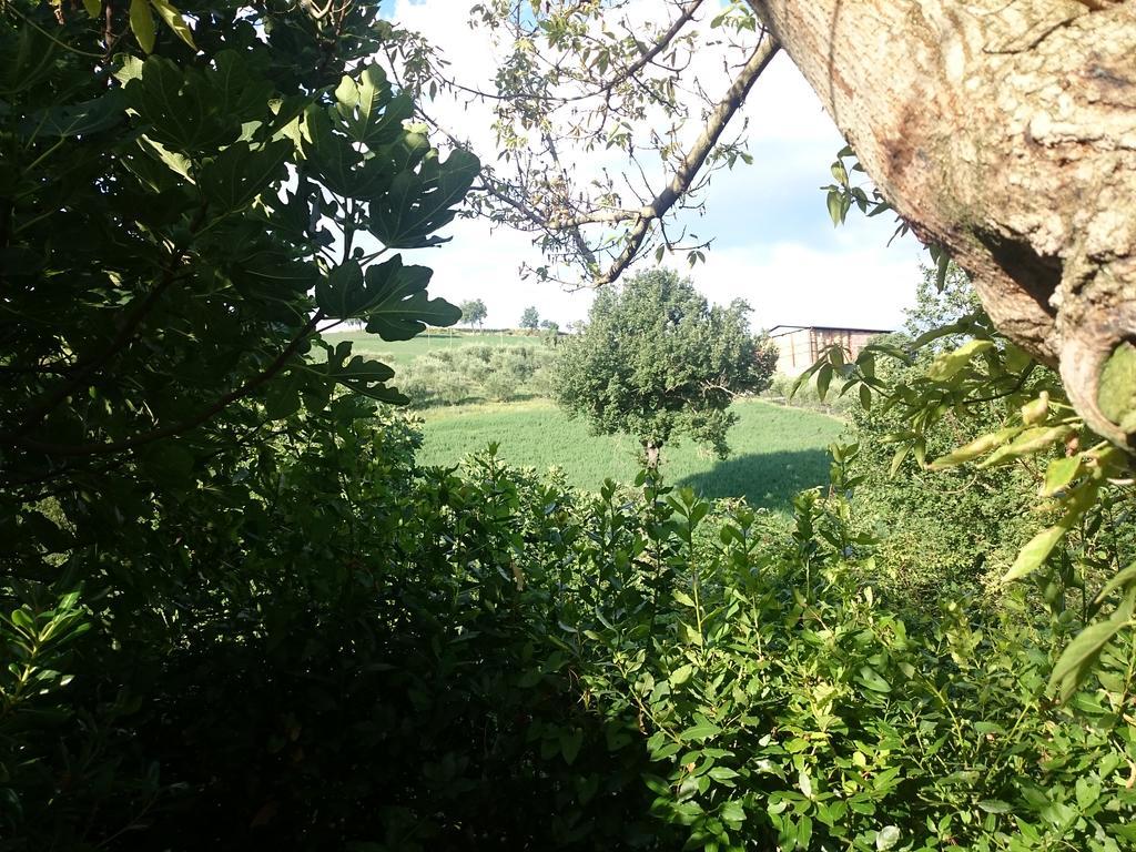 Country House Villa Sabrina San Ginesio Exterior photo